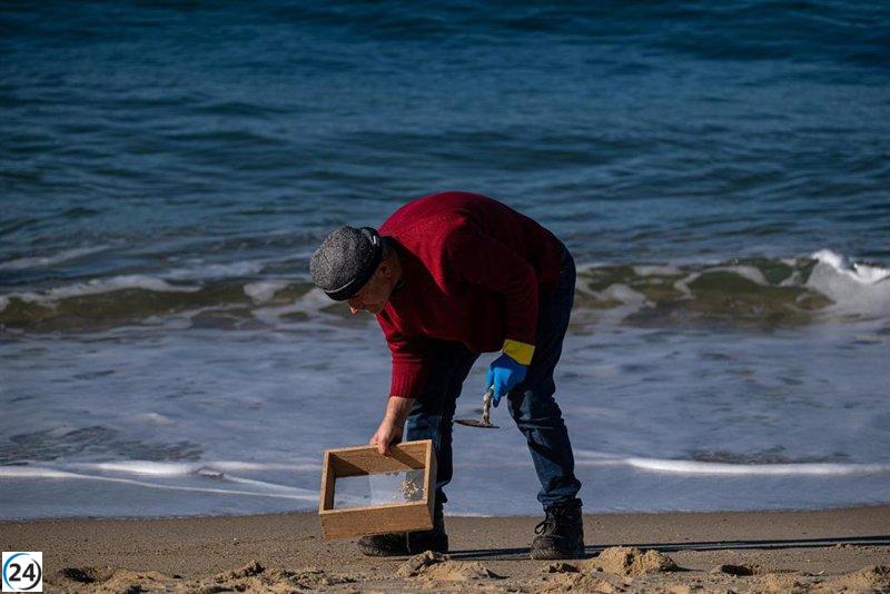 La Organización Marítima Internacional se encamina a aprobar pautas de limpieza de pélets en febrero.