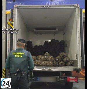 Incautan 1.674 kilos de almeja japónica ilegal en camión portugués en O Grove, Pontevedra.