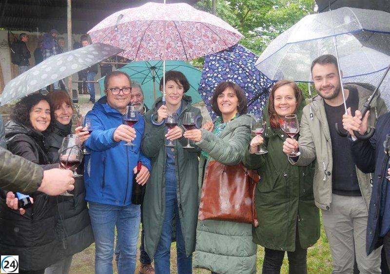 El BNG propone una Ley del Vino en el Parlamento para impulsar el sector y apoyar a los productores.