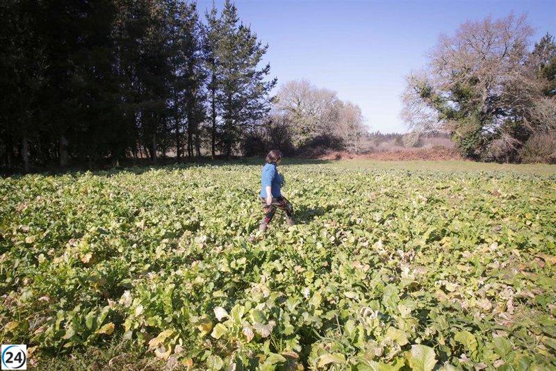 Éxito en el agro gallego: PAC perdona sanciones a agricultores gracias a las movilizaciones.