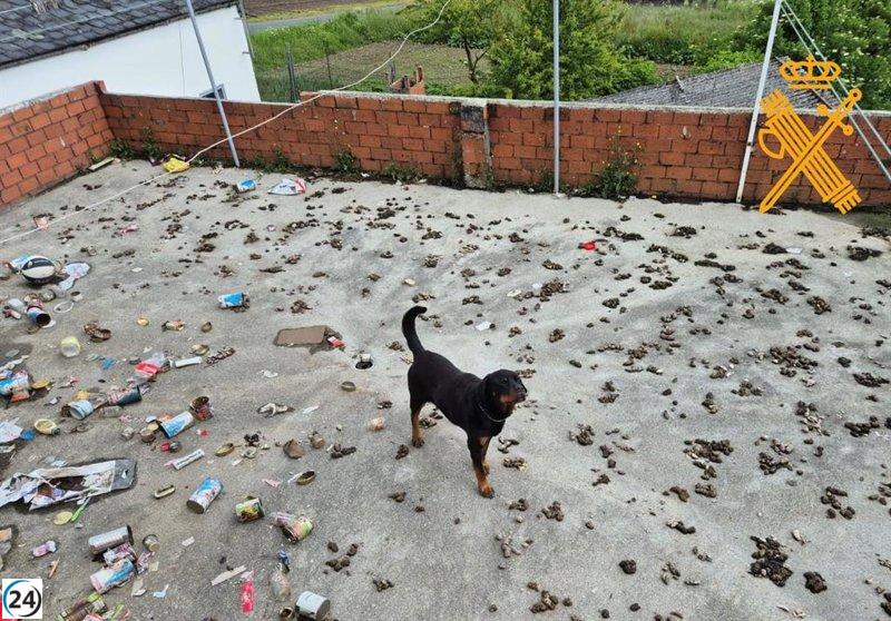 Vecino de Lugo investigado por abandonar a su perro sin comida ni agua en una terraza.
