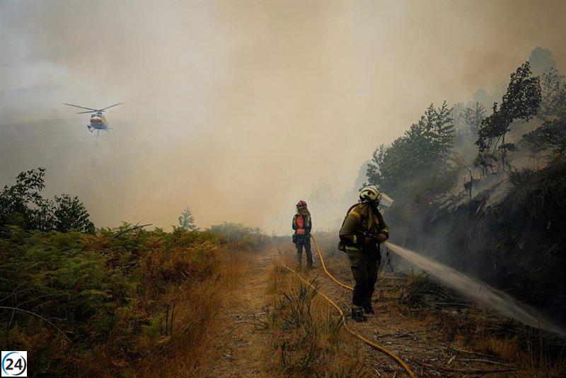 Controlado el incendio forestal en Muíños (Ourense) que ha arrasado 45 hectáreas del parque natural de O Xurés.