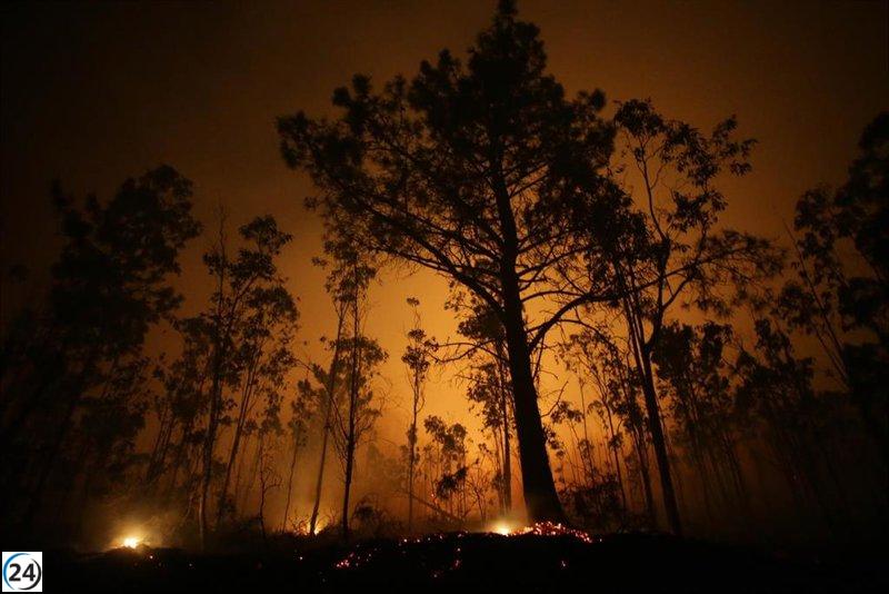 Numerosos incendios arrasan casi 400 hectáreas en Galicia