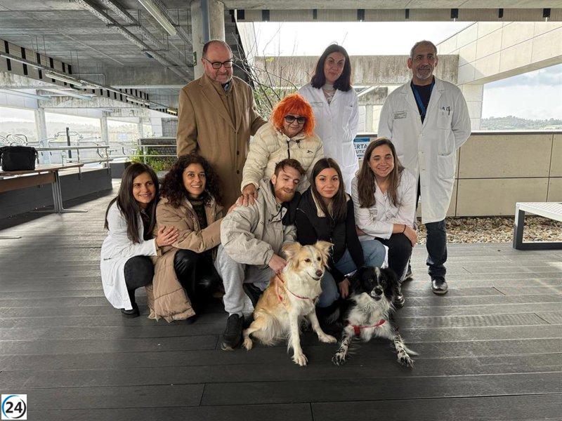 Ourense lidera la humanización hospitalaria al permitir visitas de mascotas a pacientes.