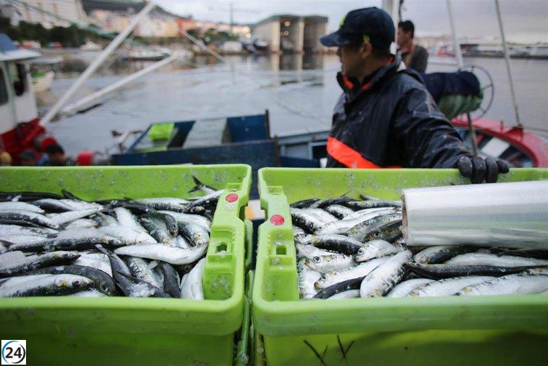 Pescadores de cerco rechazan salida nocturna por San Juan, a pesar de luz verde del Mar.