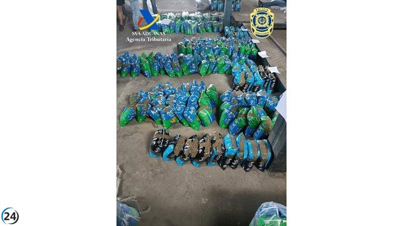 Detienen en Portugal a dos sospechosos por contrabando de 400 kilos de cocaína oculta en arena para gatos en el puerto de Vigo.