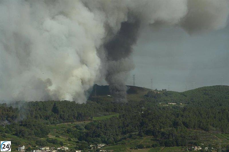 Incendio en Cualedro (Ourense) extinguido tras devastar 90 hectáreas de bosque.