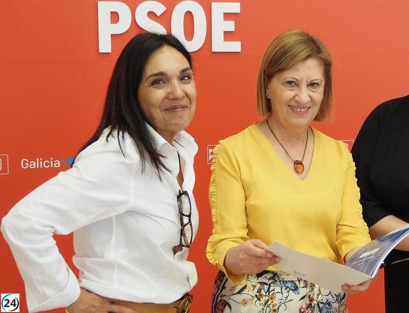 El PSdeG critica a la Xunta por su inacción y su gestión sanitaria desorganizada.