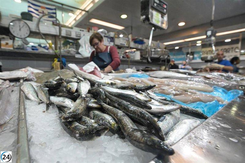 Ya disponible el Bono Peixe de la Xunta: ahorra 5 euros semanales con un 25% de descuento.