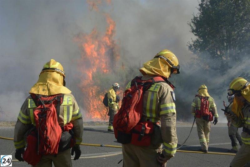 Liberado el sospechoso de incendios en Ourense, deberá presentarse semanalmente ante las autoridades durante la investigación.