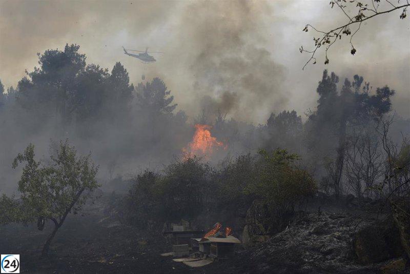 Galicia enfrenta una devastadora ola de incendios que arrasa 11.500 hectáreas.