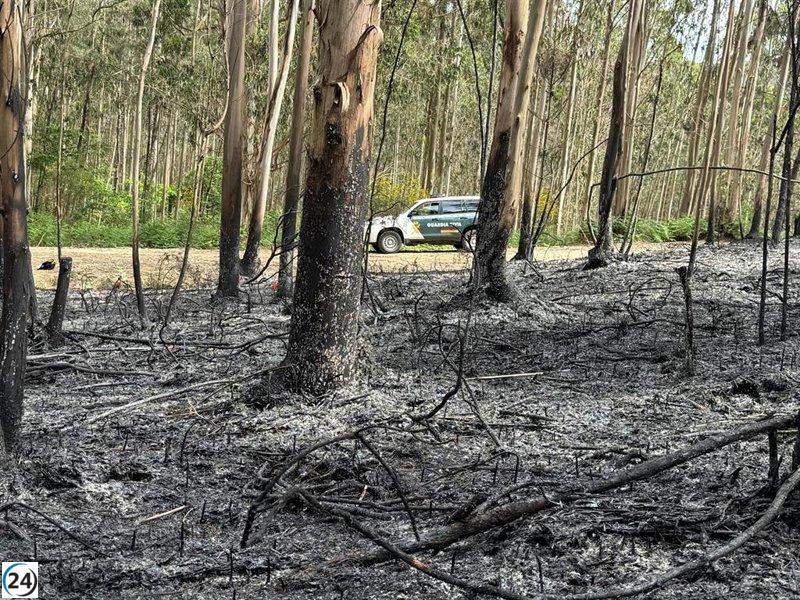 Detienen a sospechoso por incendio forestal en Lousame, A Coruña.