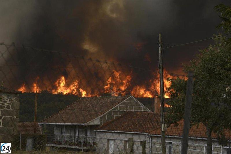 Galicia sufre una intensa ola de incendios que ha arrasado más de 51,000 hectáreas, principalmente en Ourense.