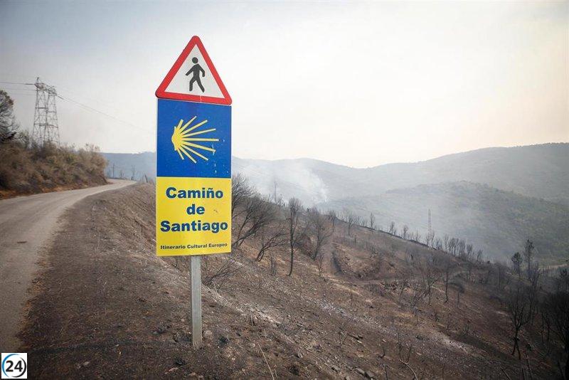 Incendios afectan el Camino de Santiago: cenizas y problemas respiratorios en el trayecto.