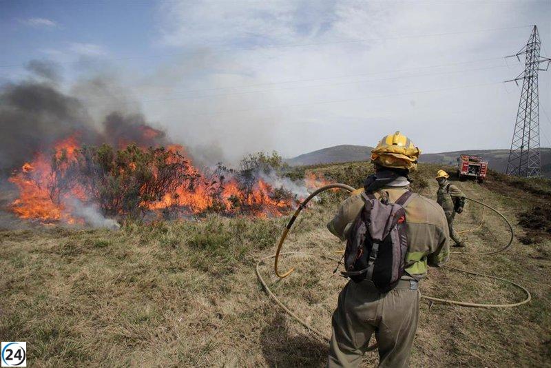 Galicia respira un poco: incendios controlados, sin aumento de hectáreas afectadas.