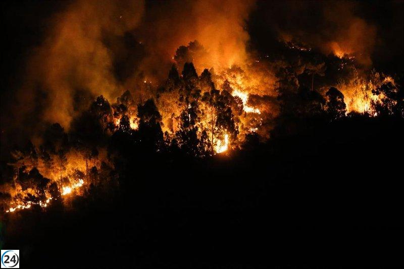 La Fiscalía indaga sobre la preparación de los municipios más impactados por los incendios.