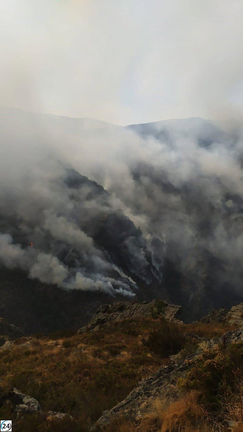 Casaio enfrenta una emergencia por incendios, afectando a la comunidad y la biodiversidad local.