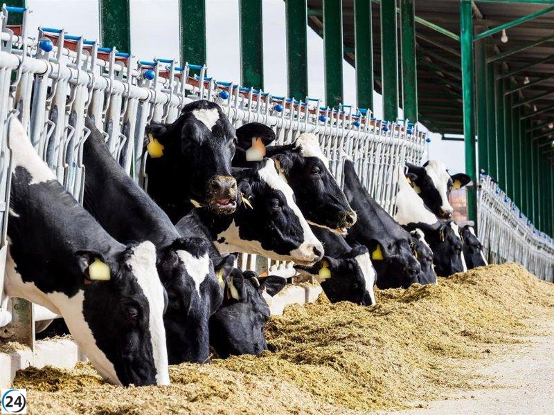 Medio Rural insta a reforzar la prevención contra la dermatosis nodular contagiosa en ganado bovino.