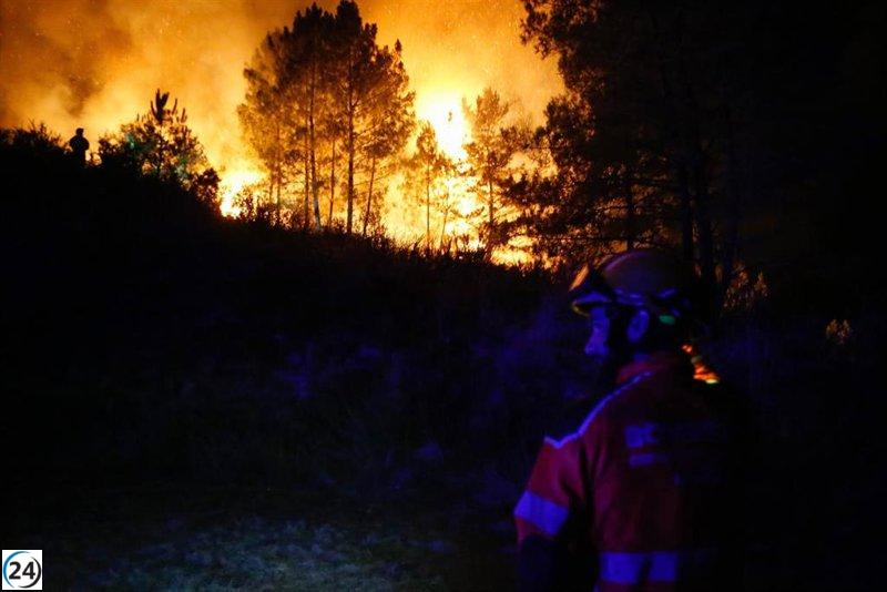 Gobierno declara emergencia nacional por incendios, afectando a toda España salvo el País Vasco.