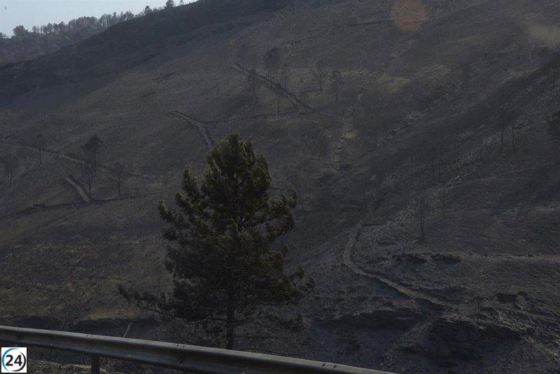 La Xunta impulsa la limpieza de ríos post-incendios y reclama apoyo del Estado para prevenir escorrentías.