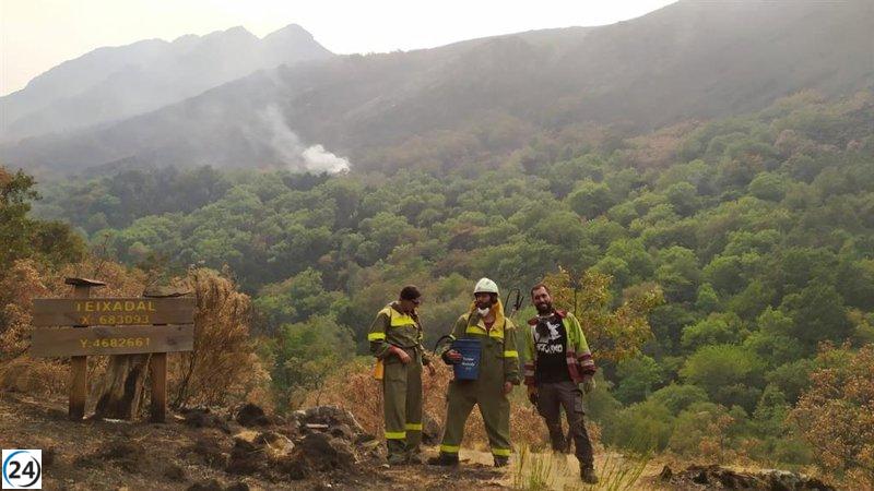 Se desata un nuevo incendio en Carballeda de Valdeorras, tras la devastación en Trevinca el pasado agosto.