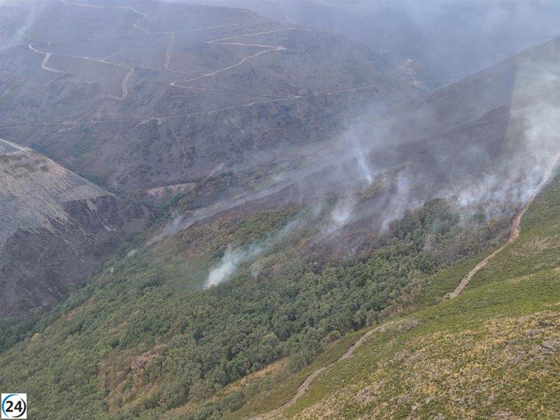 Incendio en Carballeda, presuntamente intencionado, arrasa 700 hectáreas mientras se desplaza hacia área más manejable.