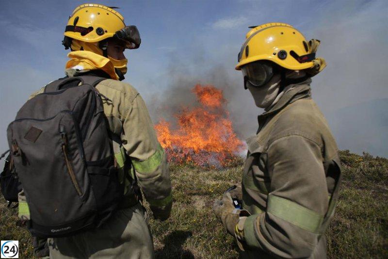 Rueda reporta 120,000 hectáreas quemadas en agosto en Galicia: un 69% de monte arrasado y un 31% de bosque perdido.