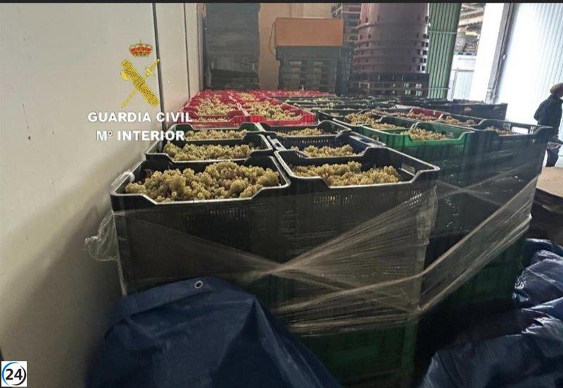 Confiscan 6.000 kilos de uva ilegal en Salvaterra de Miño, originarias de Portugal.