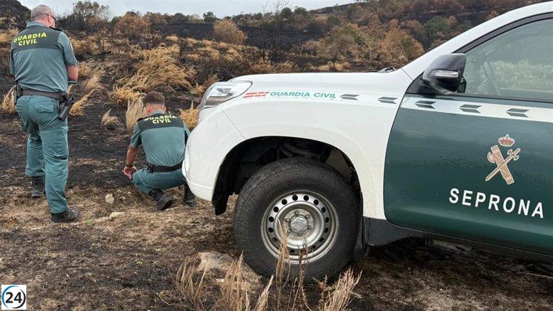 Anciano bajo investigación por incendio en Chandrexa de Queixa que afectó 18,5 hectáreas.