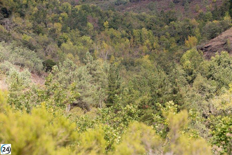 La Aemet prevé un otoño en Galicia con temperaturas superiores y menos lluvias de lo habitual.