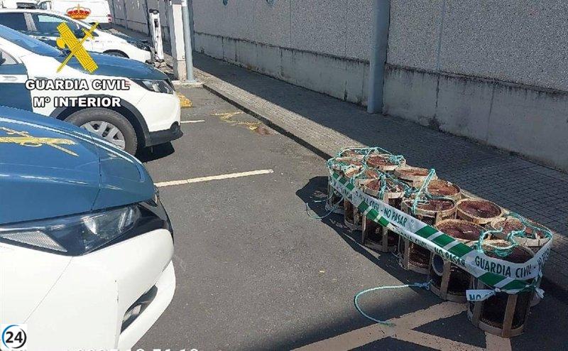 Detienen a dos sospechosos por el robo de 12 nasas de pesca en el puerto de Oza, A Coruña.