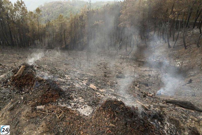Apagan el incendio en Pantón (Lugo) que arrasó 1.805 hectáreas.