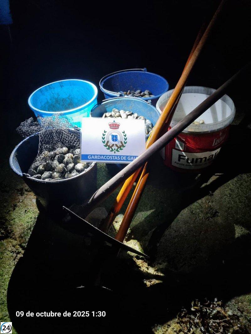 Desmantelan red furtiva con la confiscación de 30 kilos de almeja babosa en la ría de Ferrol.
