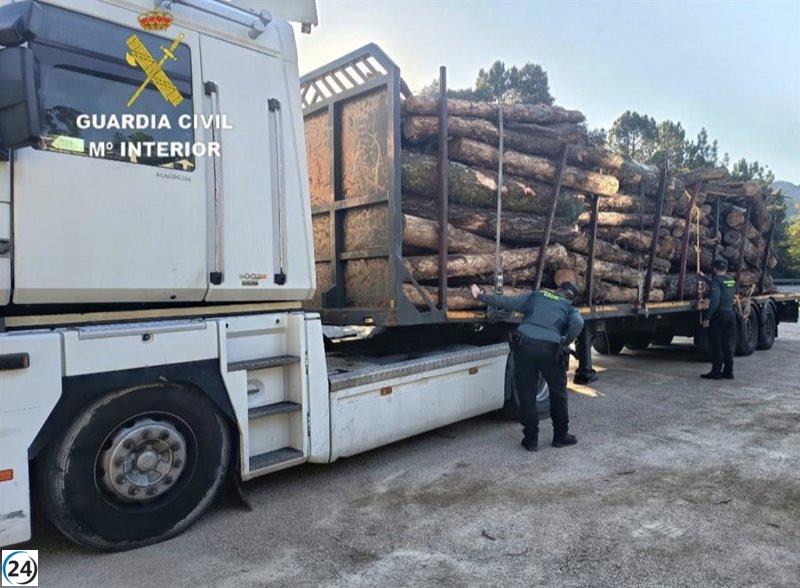 Capturan a dos hombres tras escapar con un camión robado de madera en Ponteareas, Pontevedra.