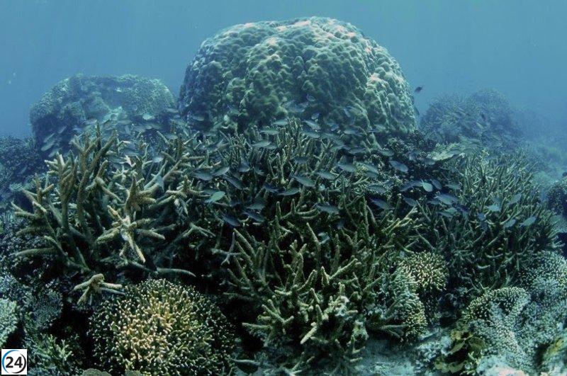 El mundo cruza su primer umbral irreversible, revela estudio global con participación de la USC.