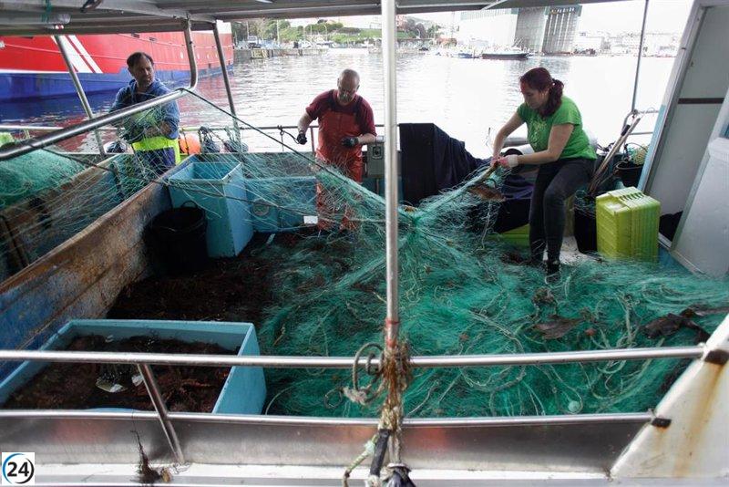 Cofradías pesqueras rechazan drástica disminución de cuotas para 2026.