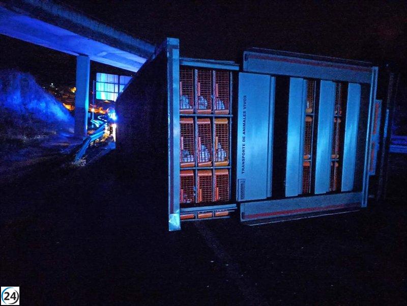 Suelta el conductor de camión de pollos tras accidente en la A-52 en Barbadás.