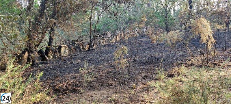 Policía autonómico intercepta incendiario en Seixalbo, Ourense.