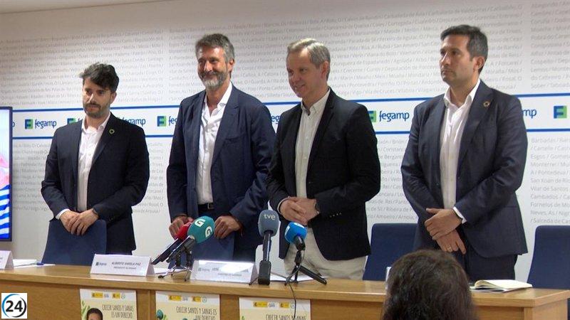 Colegios coruñeses abrirán patios fuera de clases para promover hábitos saludables