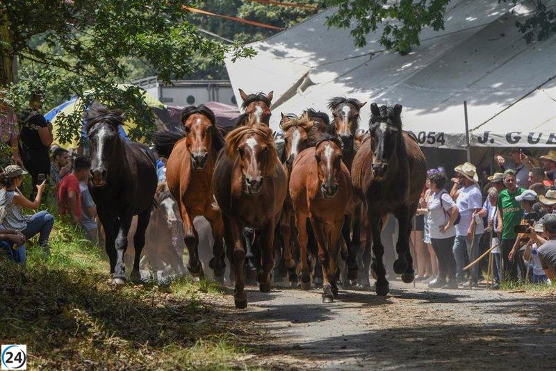 El TSXG paraliza parque eólico en Galicia, tras denuncia de Sorogoyen en los Goya.