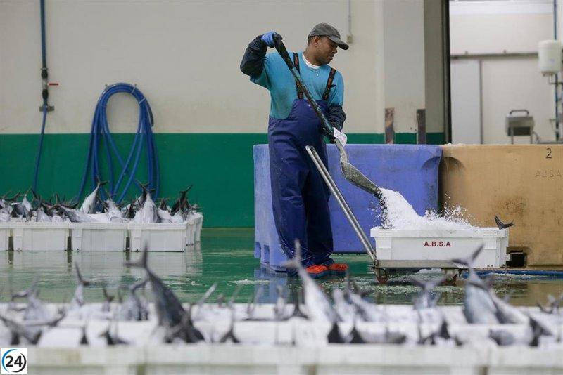 El Parlamento exige la disminución del IVA en productos del mar y propone un plan de recuperación económica para el sector pesquero