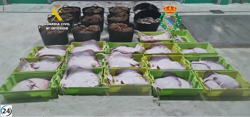 Exitosa operación antidisturbios en A Coruña: Confiscan más de 400 kilos de pescado y marisco en lucha contra la pesca ilegal.