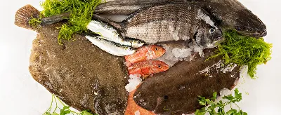 Cómo maridar los platos típicos de Galicia con vino