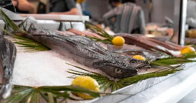 La merluza de Celeiro, una delicia de la costa gallega