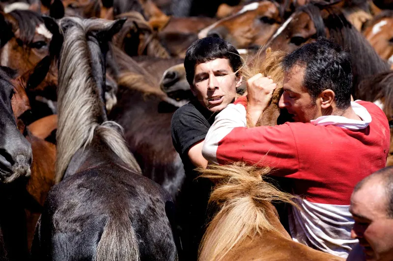 La Rapa das Bestas, la fiesta de los caballos salvajes