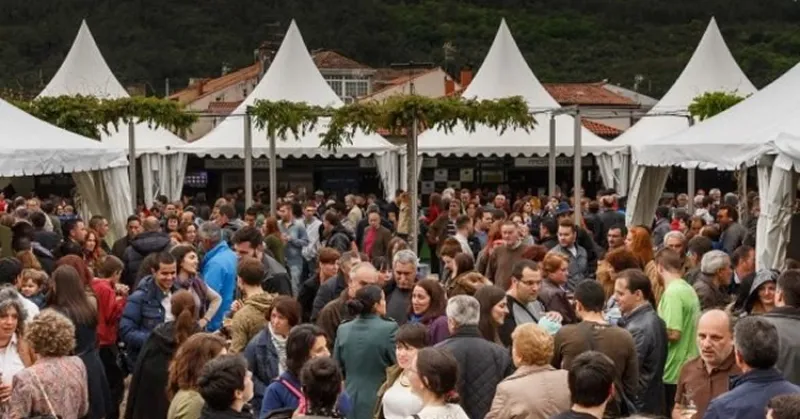 La Festa da Carballeira, una fiesta del vino en Ribeiro