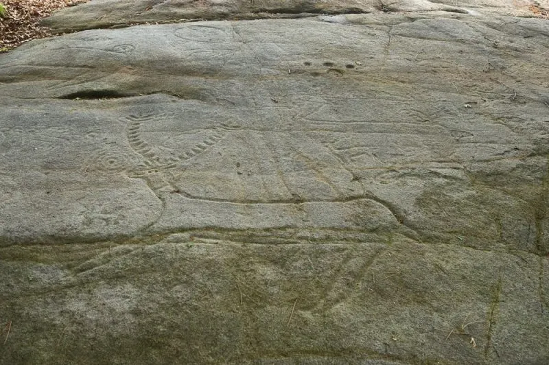 Los petroglifos gallegos, arte rupestre prehistórico