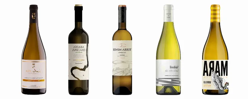 Vinos de Galicia que no sabías que existían