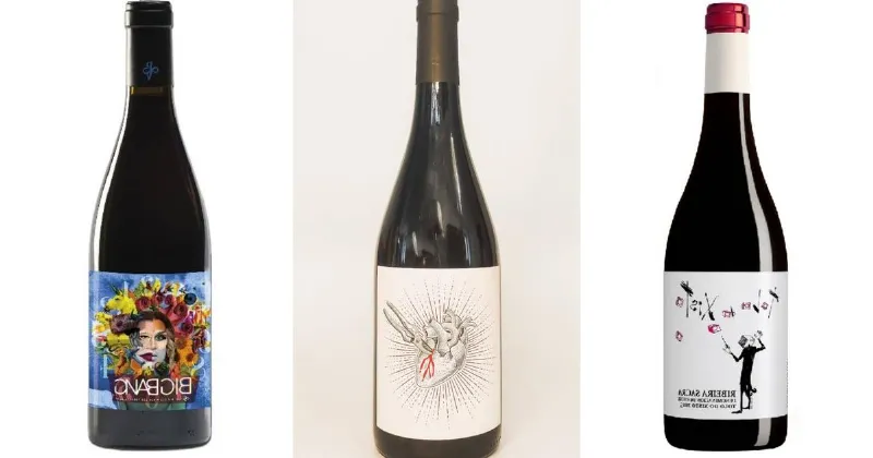 Vinos de Galicia que sorprenderán a tu paladar