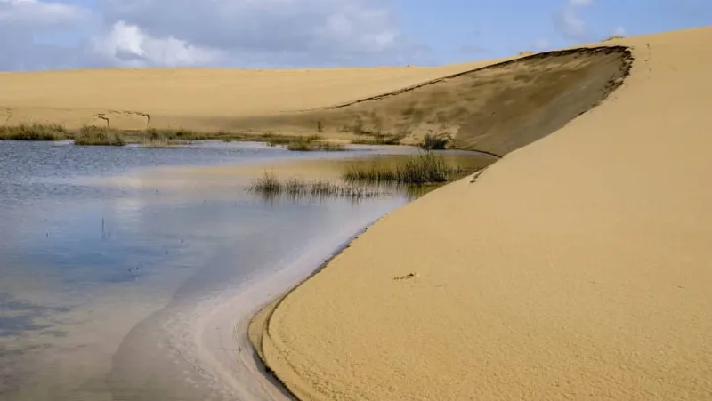 Dunas de Corrubedo: un impresionante conjunto de dunas móviles